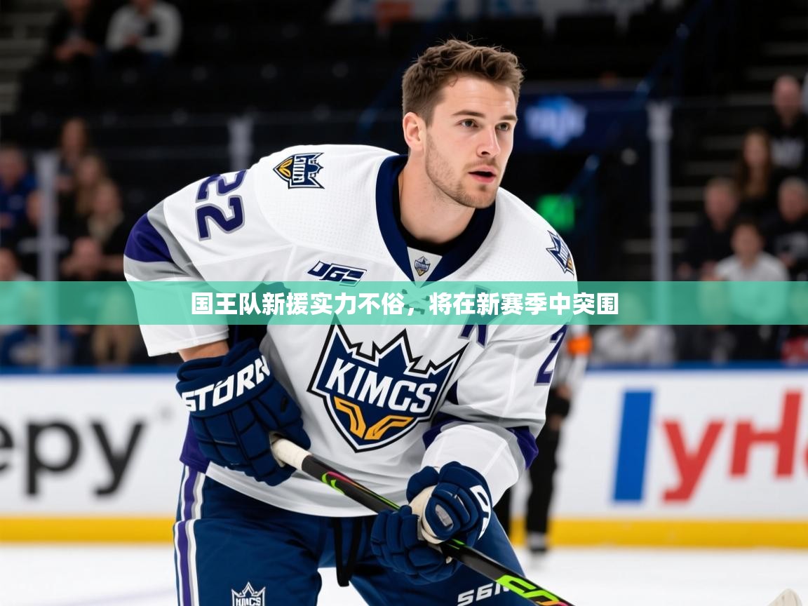 2025叛爱游戏泰剧在线观看国王队新援实力不俗,将在新赛季中突围 第4张