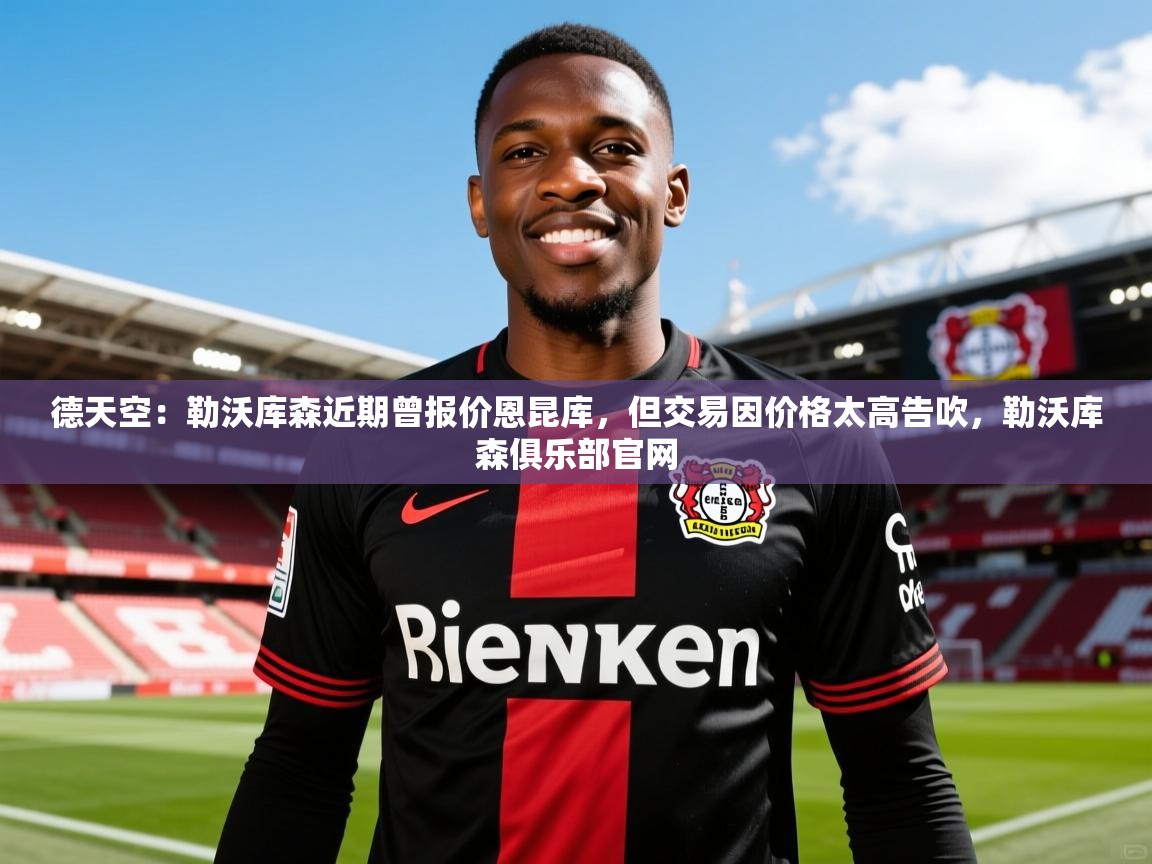 2025爱游戏登录不了德天空:勒沃库森近期曾报价恩昆库,但交易因价格太高告吹,勒沃库森俱乐部官网 第2张