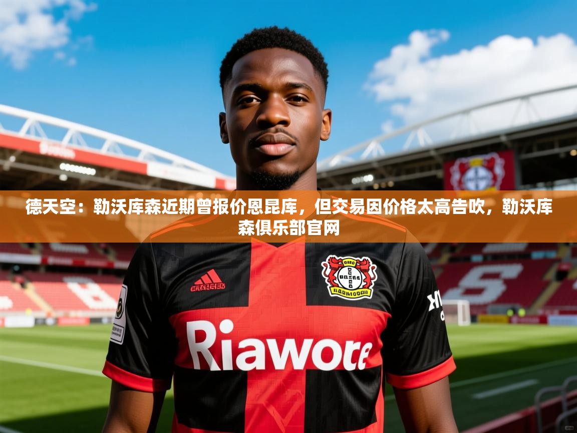 2025爱游戏登录不了德天空:勒沃库森近期曾报价恩昆库,但交易因价格太高告吹,勒沃库森俱乐部官网 第3张