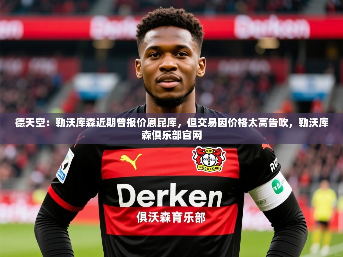 2025爱游戏登录不了德天空:勒沃库森近期曾报价恩昆库,但交易因价格太高告吹,勒沃库森俱乐部官网 第4张