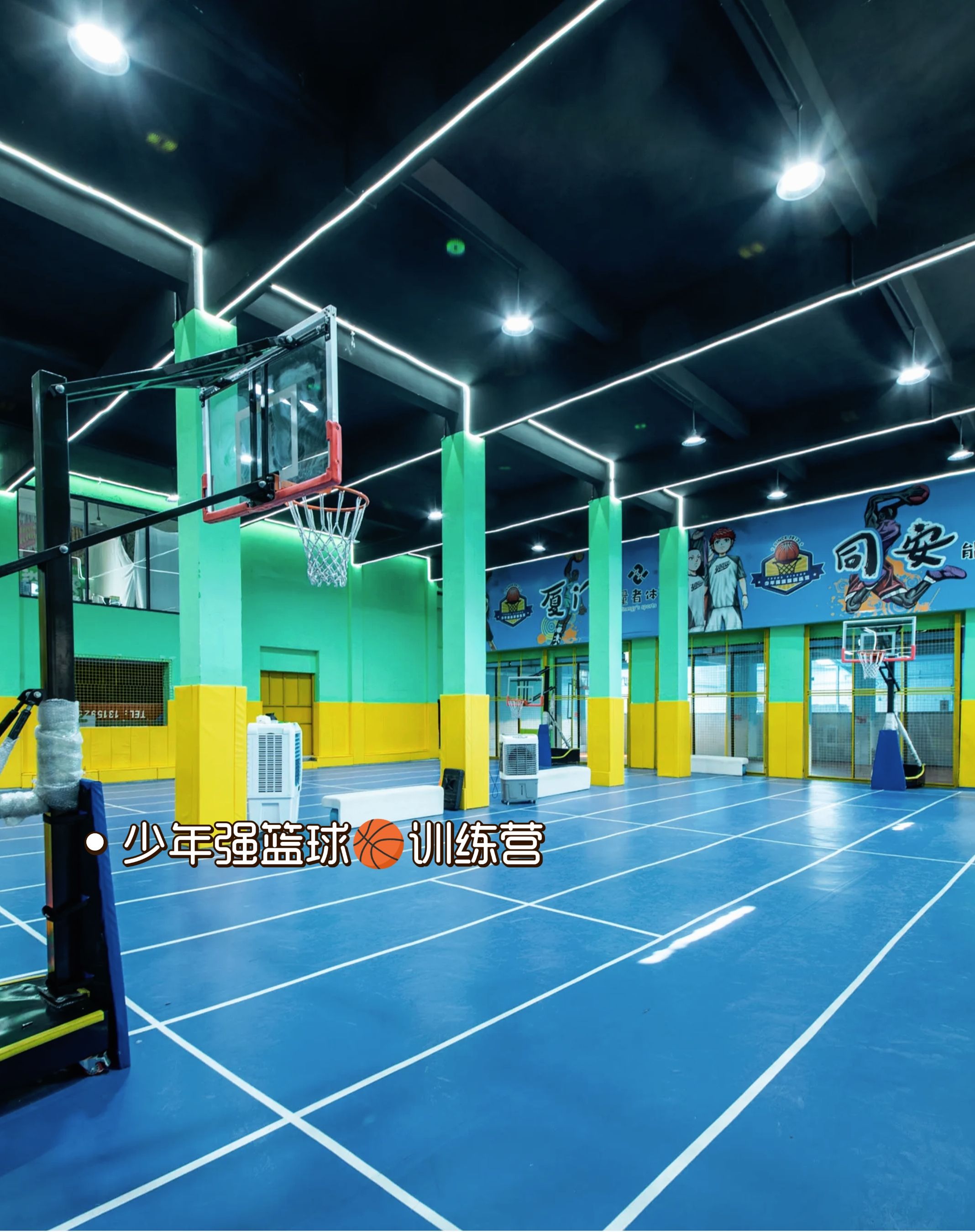 球队成立青少年篮球训练营，培养篮球新秀的简单介绍